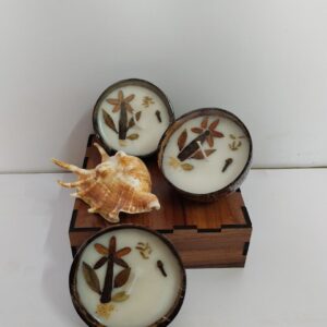 Coconut Shell Spice Candle